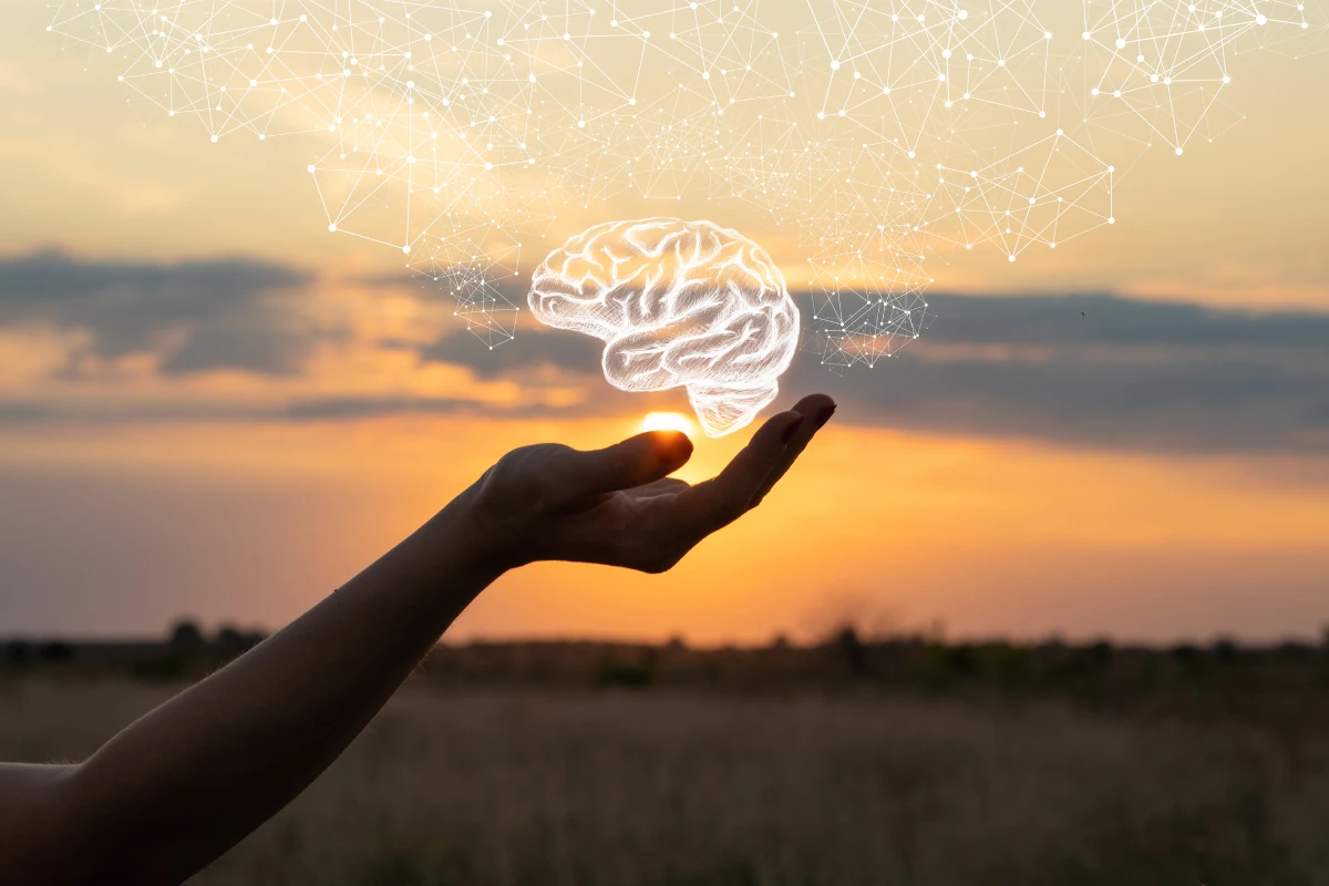 Hand in the sunset holding a drawing of a brain